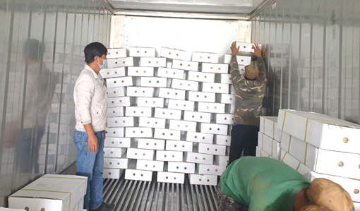 Gia Lai: Doanh nghiệp ứng dụng công cụ MFCA để quản trị dòng nguyên vật liệu hiệu quả