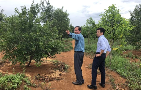 STI nghiệm thu thành công dự án xây dựng mô hình điểm nâng cao năng suất chất lượng cho doanh nghiệp Gia Lai