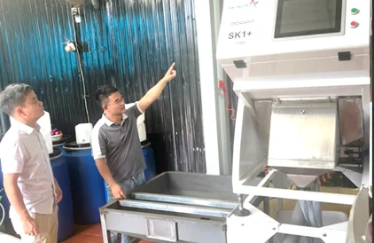 Gia Lai: Mô hình TPI – Đòn bẩy nâng cao năng suất chất lượng cho doanh nghiệp nông nghiệp