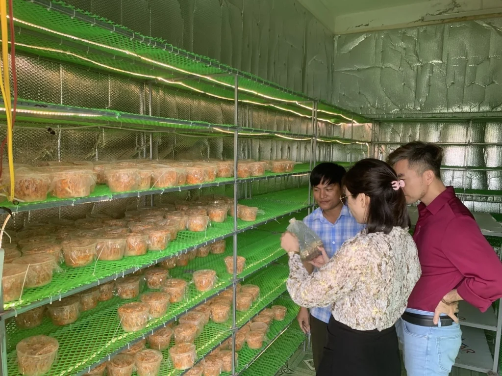 Đông trùng hạ thảo Đăng Khoa: Hành trình chinh phục sản phẩm OCOP 4 sao