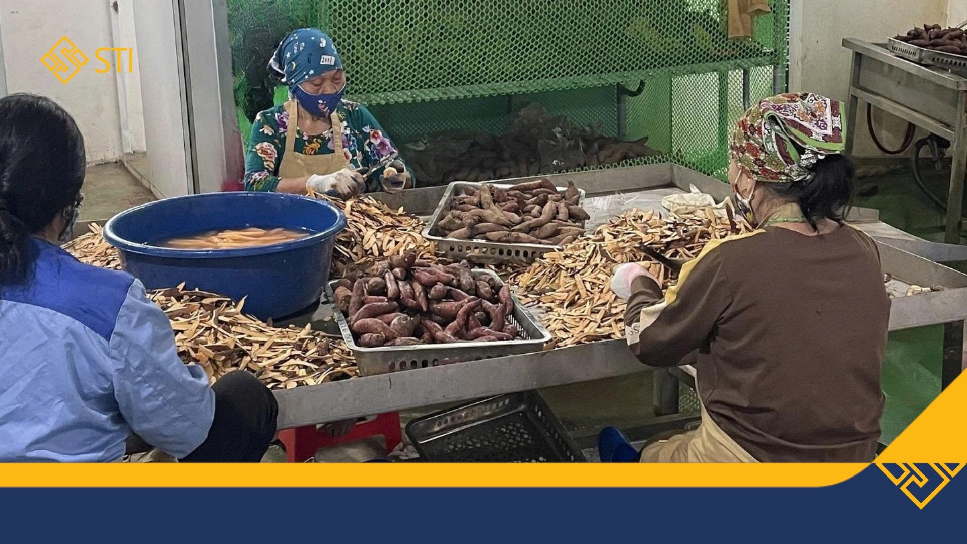 Tổng kết kết quả hỗ trợ 30 doanh nghiệp siêu nhỏ trong dự án tư vấn chuyên sâu