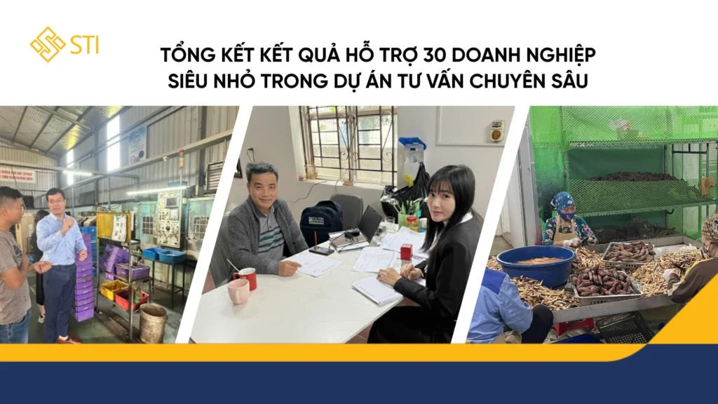 Tổng kết kết quả hỗ trợ 30 doanh nghiệp siêu nhỏ trong dự án tư vấn chuyên sâu